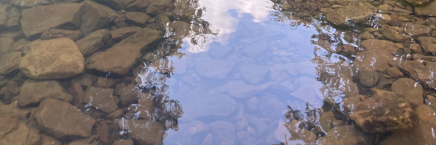 WordsTasteWeird's profile banner image