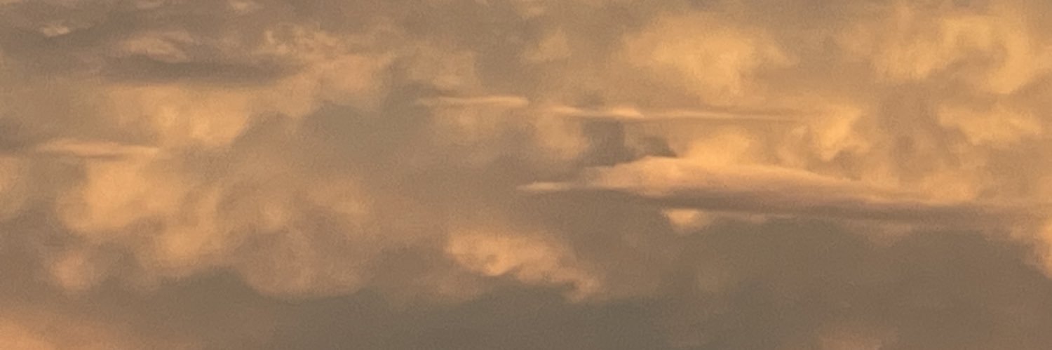 toklᐡ𖦹‎ ̫ 𖦹‎ᐡ banner