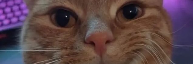 tofuhsr's profile banner image