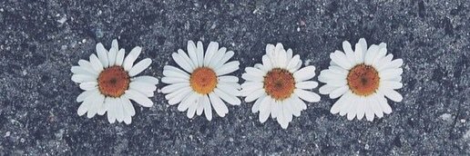claroquesisoy's profile banner image