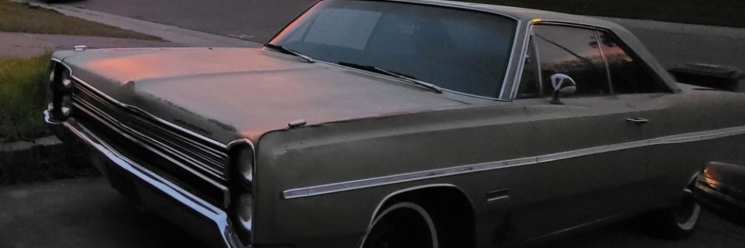 🇺🇸💖Red Dot in NorCal💖🇺🇸 banner