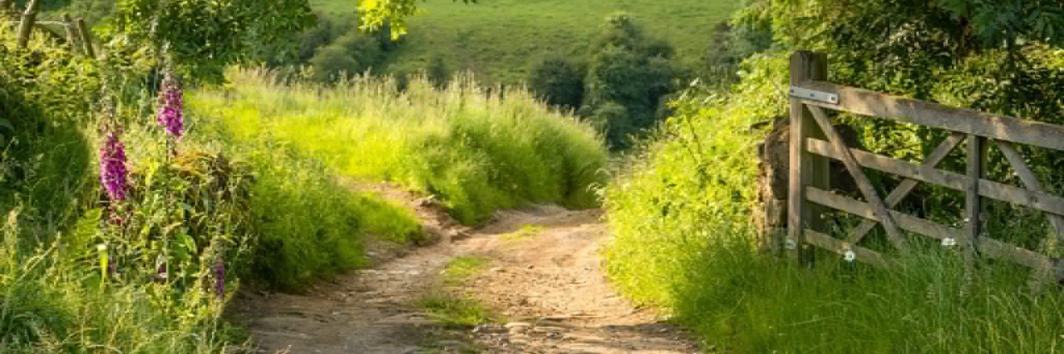 ISBUBooks's profile banner image