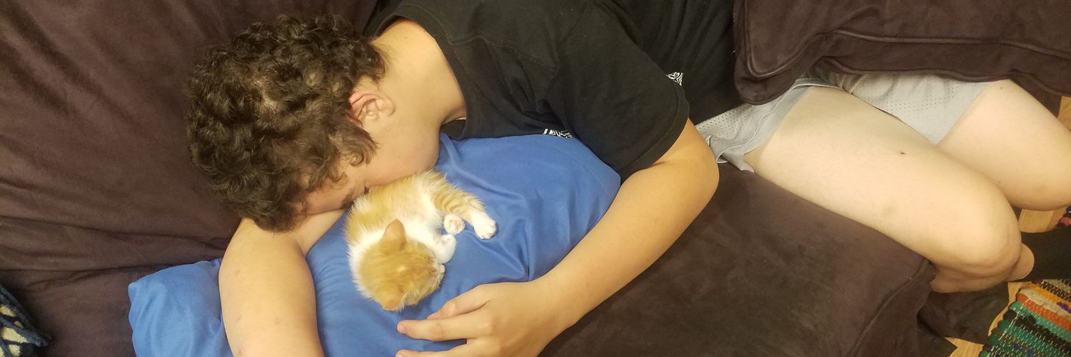 ZimmerCarman's profile banner image