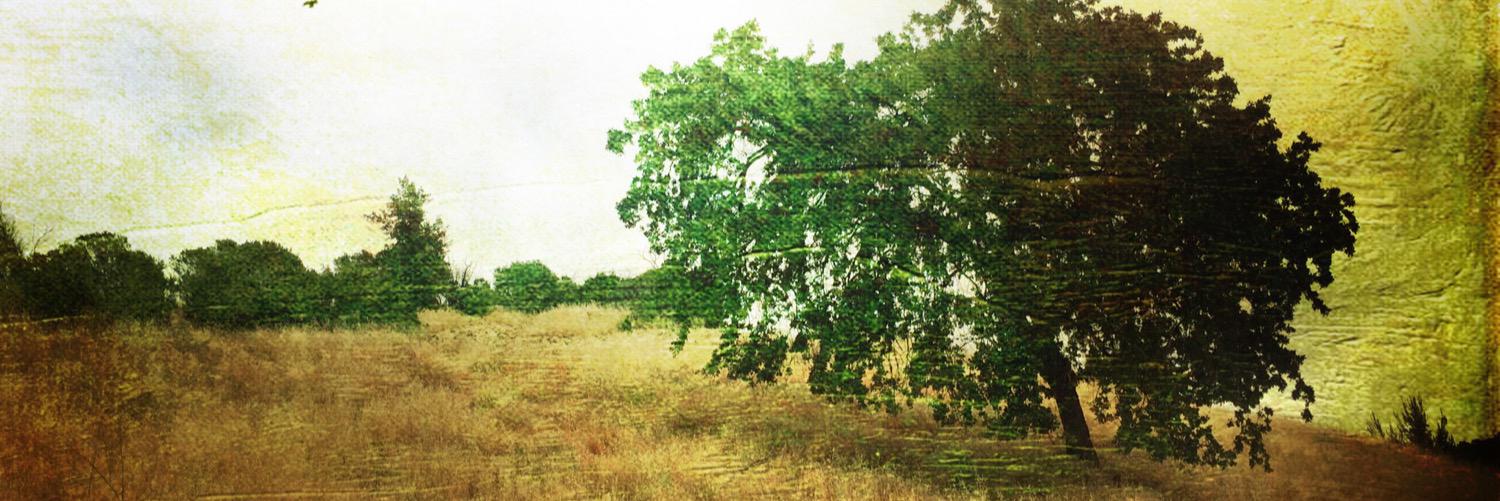 afairfield_AHS's profile banner image