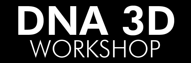 DNA 3D Workshop (Commissions Open) banner