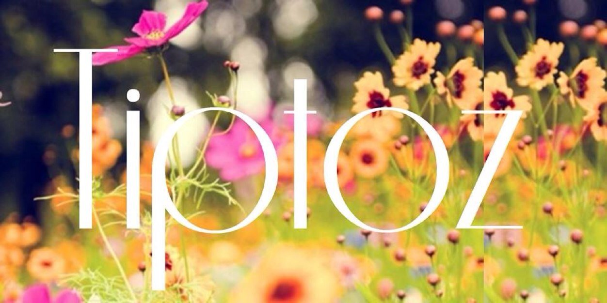 TiptozCG's profile banner image