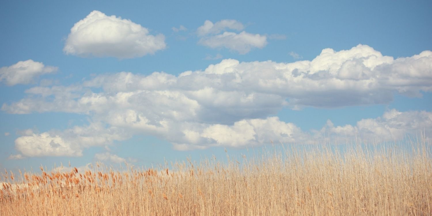a6y1's profile banner image