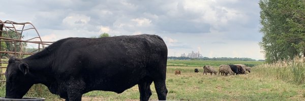 7Granstra Profile Banner