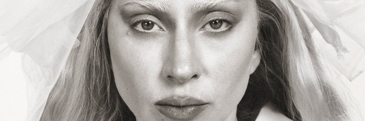 bia muller banner