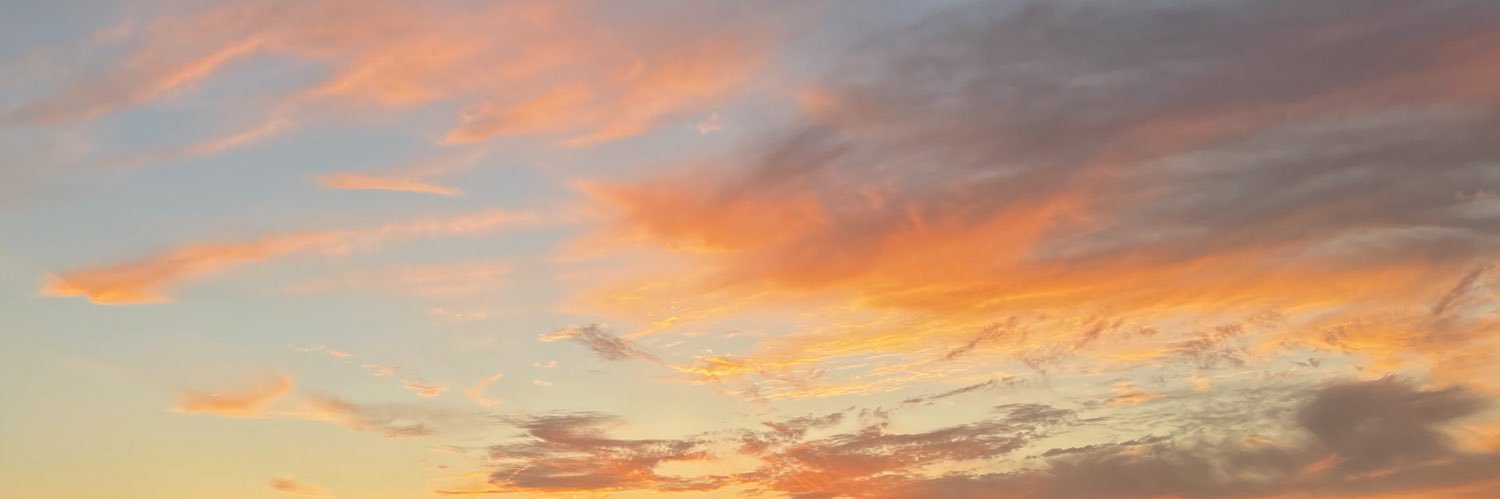 dearjasmin's profile banner image