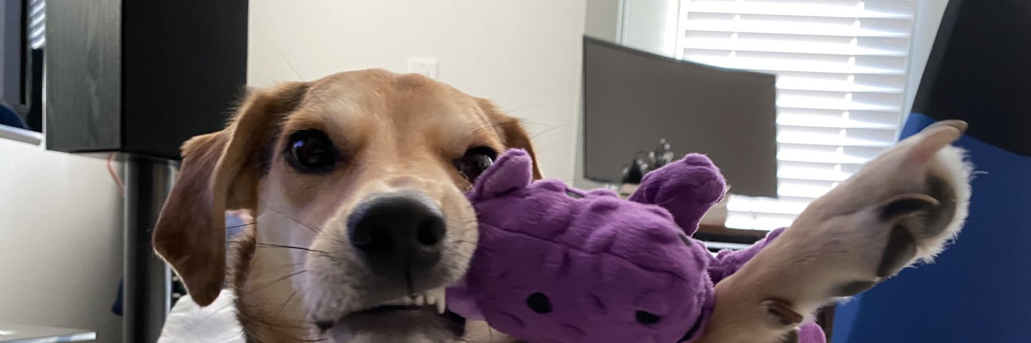 Casey banner