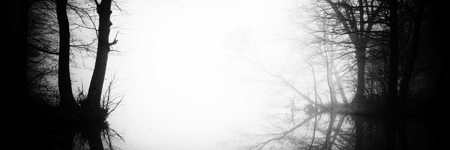 Thebird_Kevin's profile banner image