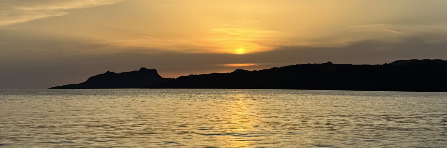 ___AP's profile banner image