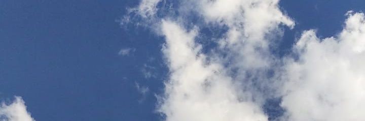 PauliiSchmidt's profile banner image