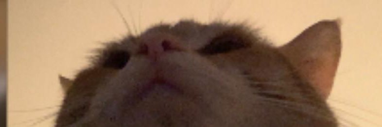 Chan. 💚🇯🇲🇬🇩 banner