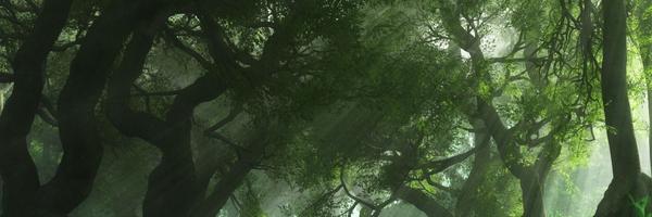 schmuckpascal Profile Banner