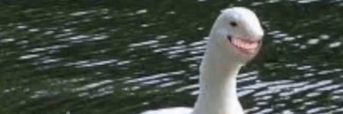 aphro3102's profile banner image