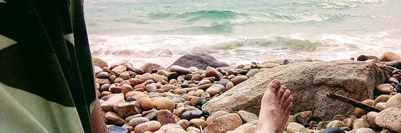 Ciervo_Elevado's profile banner image