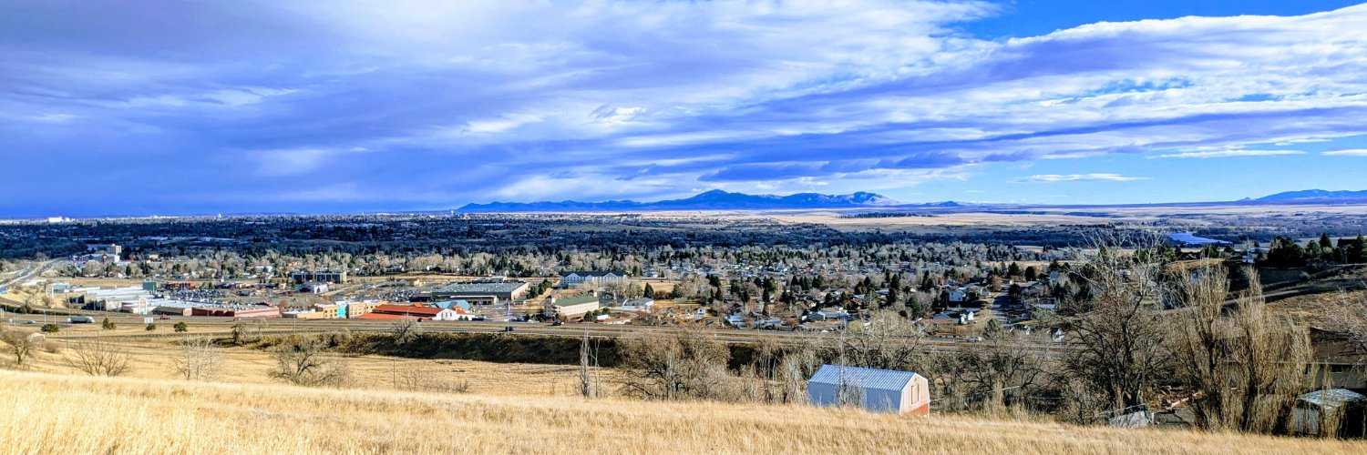 Molly Reese's banner