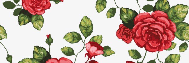 alymohney's profile banner image