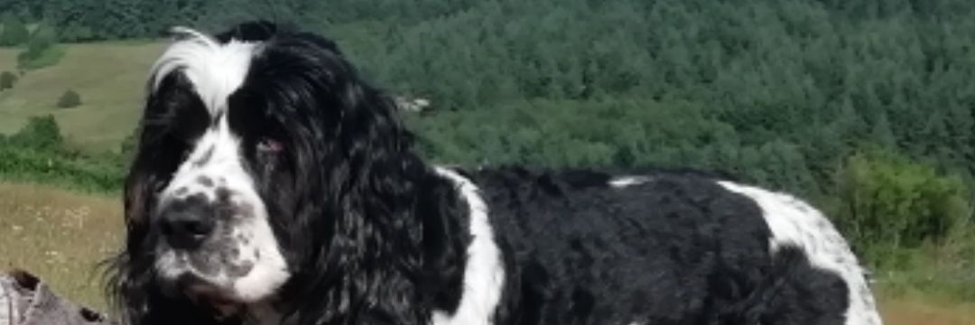 flossflo99's profile banner image