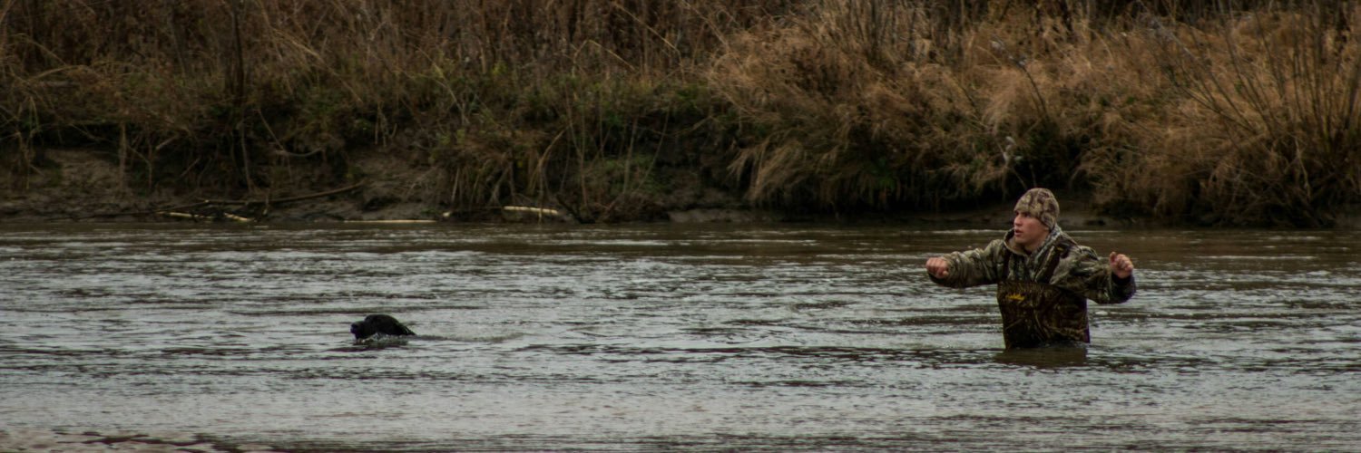 cohorejsi's profile banner image