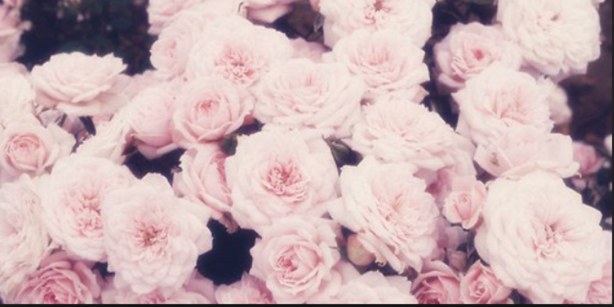 kelllclary's profile banner image