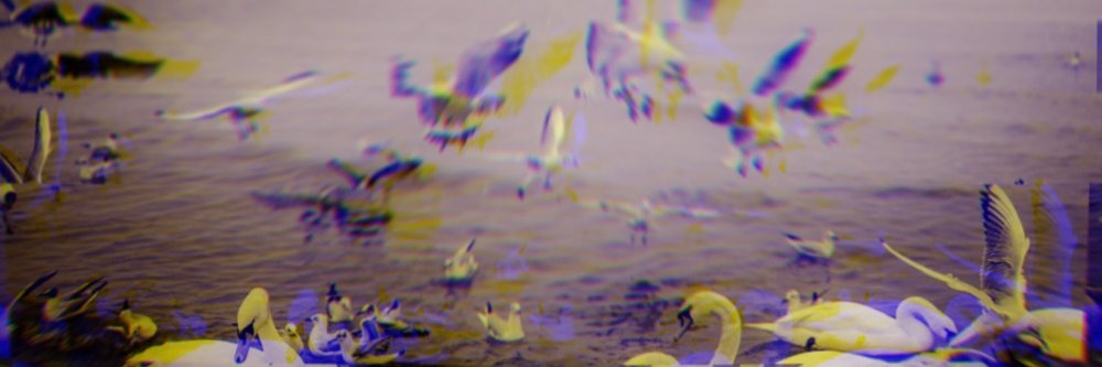 BrodyAleksander's profile banner image