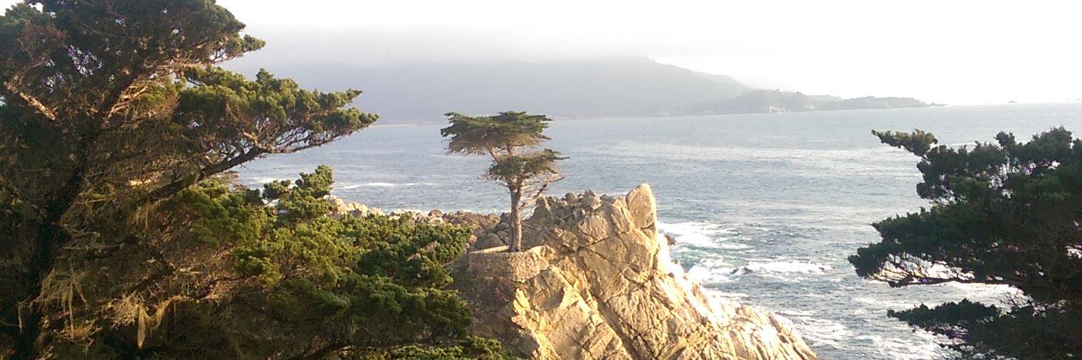 heirrheyn's profile banner image