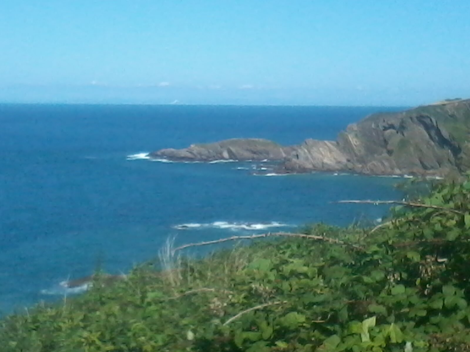 freyrholcombe's profile banner image