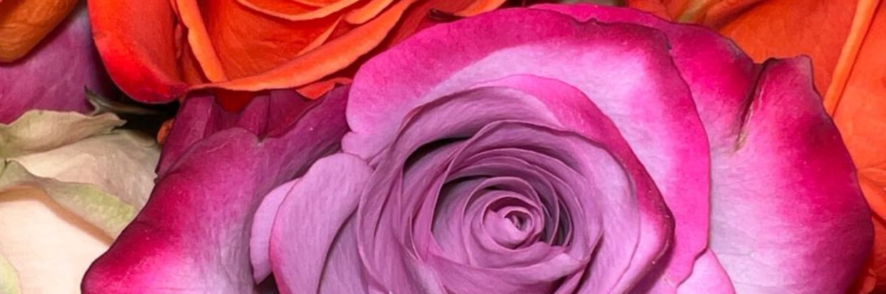 brikreeger's profile banner image