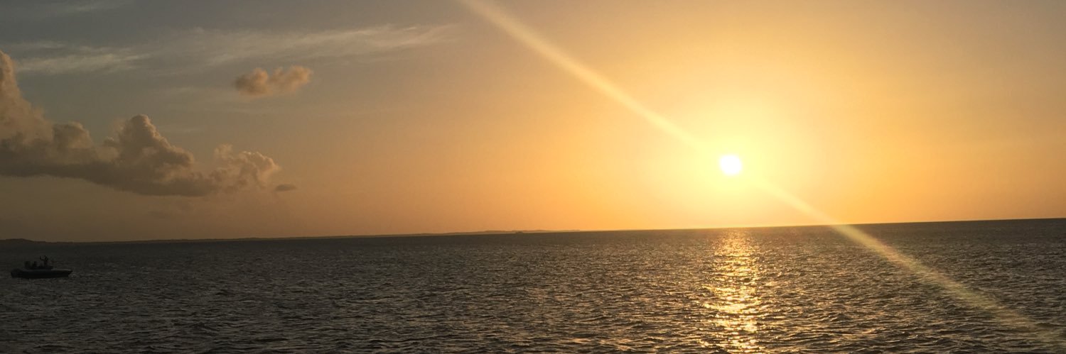 stephmo3320's profile banner image