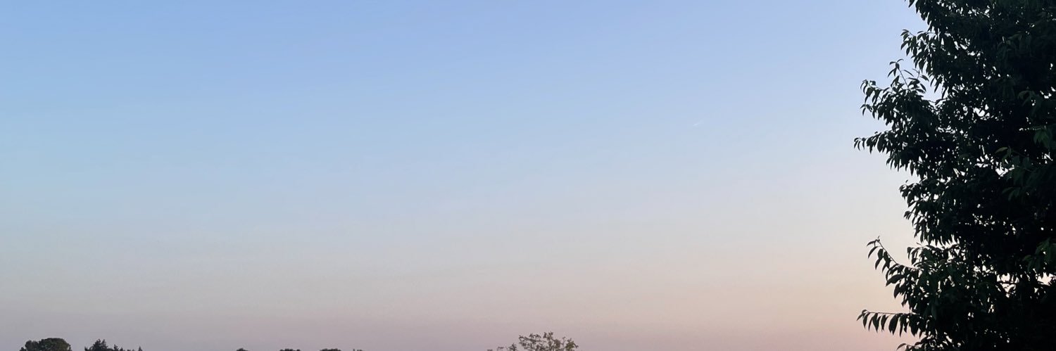 𝔈𝔩𝔣𝔬 🗡 𓆙 banner