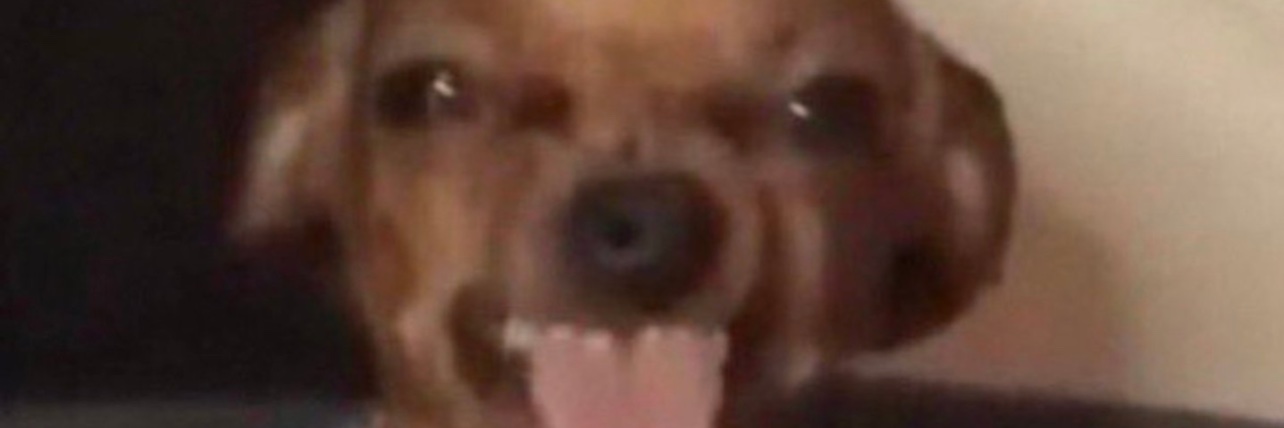 lexxwill_'s profile banner image