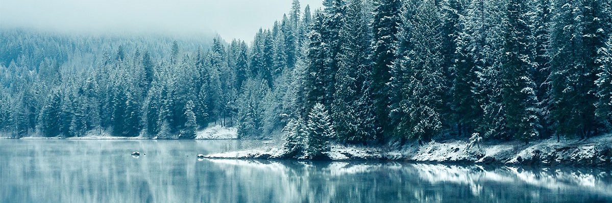 BryanWhitbeck's profile banner image