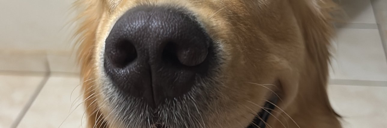 gaberovere's profile banner image