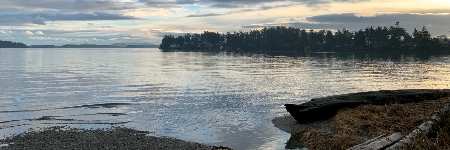 Town of Sidney banner