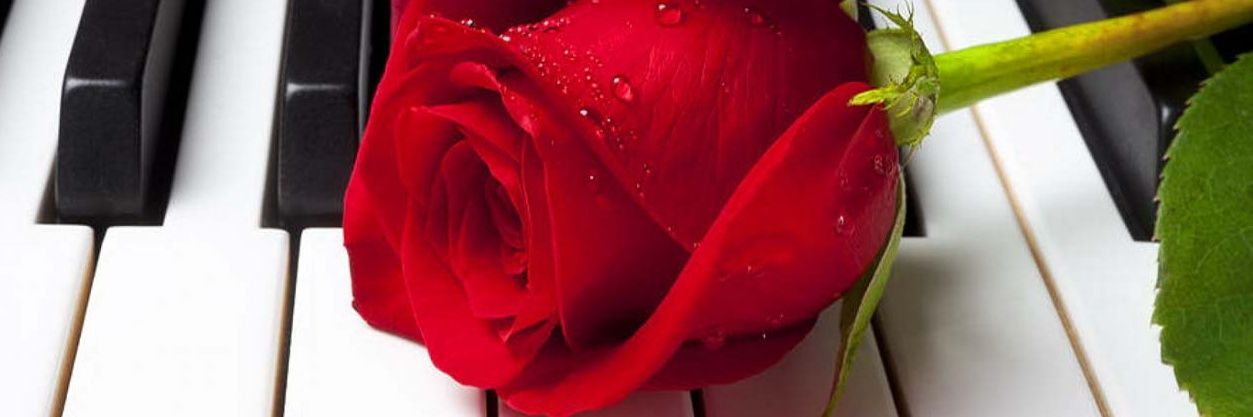 aseera84's profile banner image
