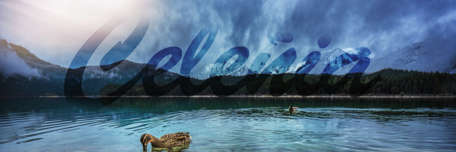 Celeñia banner