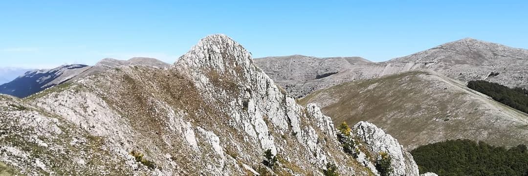 valentina merolle banner