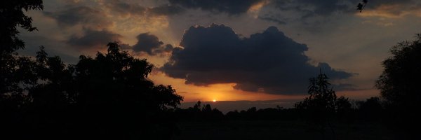 pandey_vasu_ Profile Banner
