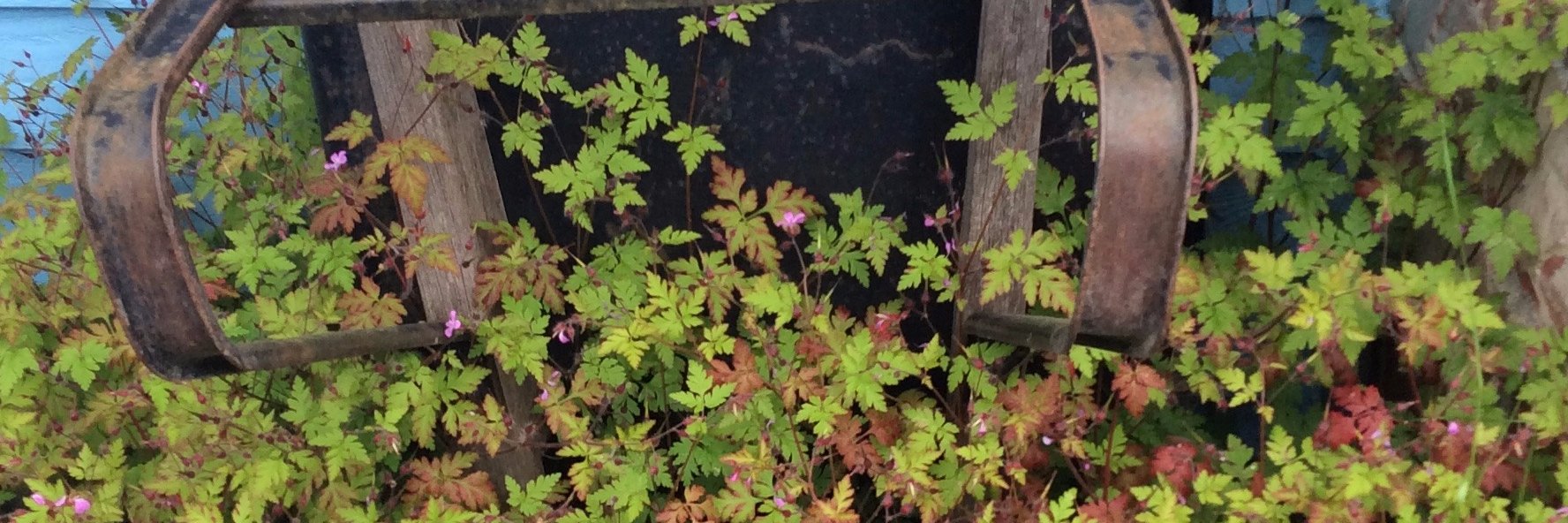 Gerald Barnett banner