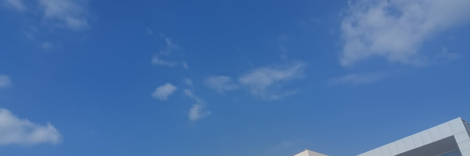 snwnjin's profile banner image