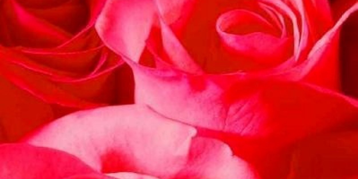 1oveu2's profile banner image