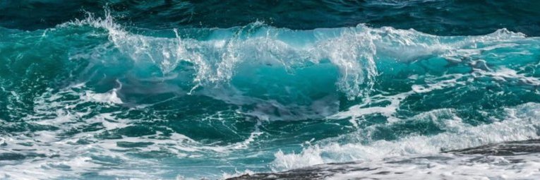 MermaidsAll_'s profile banner image