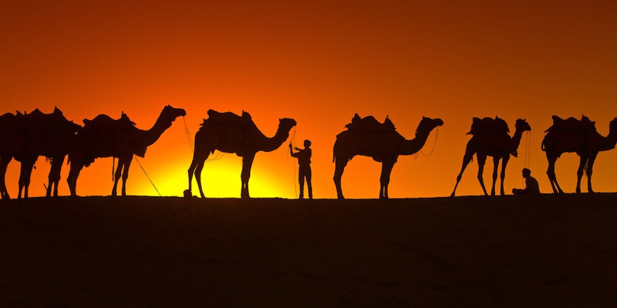 CamelsDoIt's profile banner image