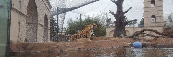Mike VII Profile Banner