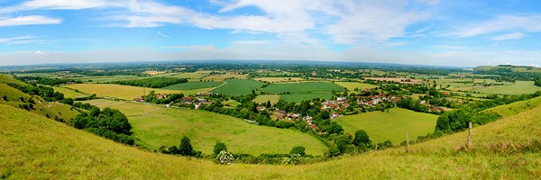 Dr Rosalind Merrick banner