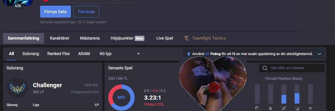 lagcats's profile banner image