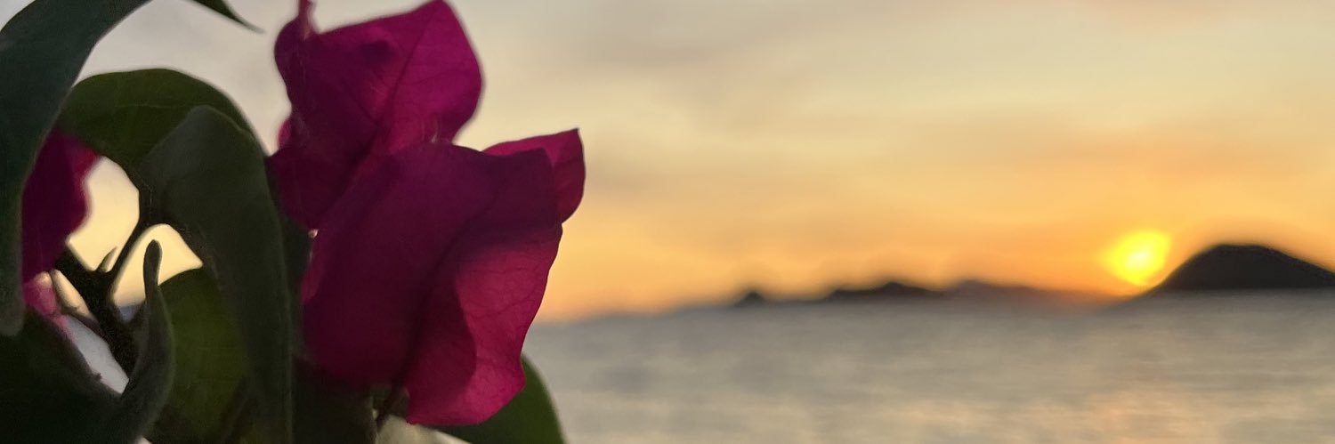 Özlem Özdemir banner